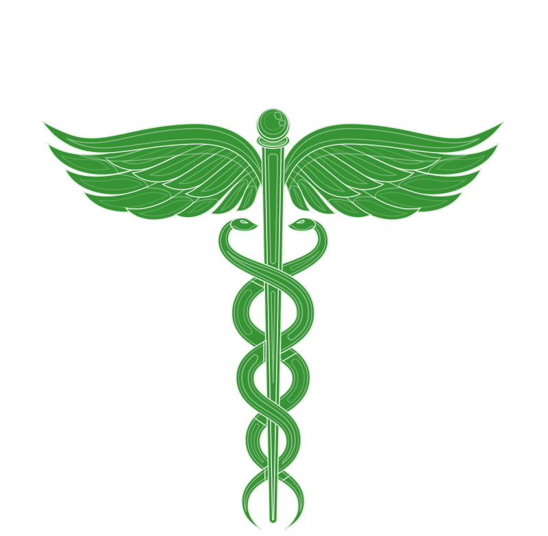 Caduceo alato con serpenti